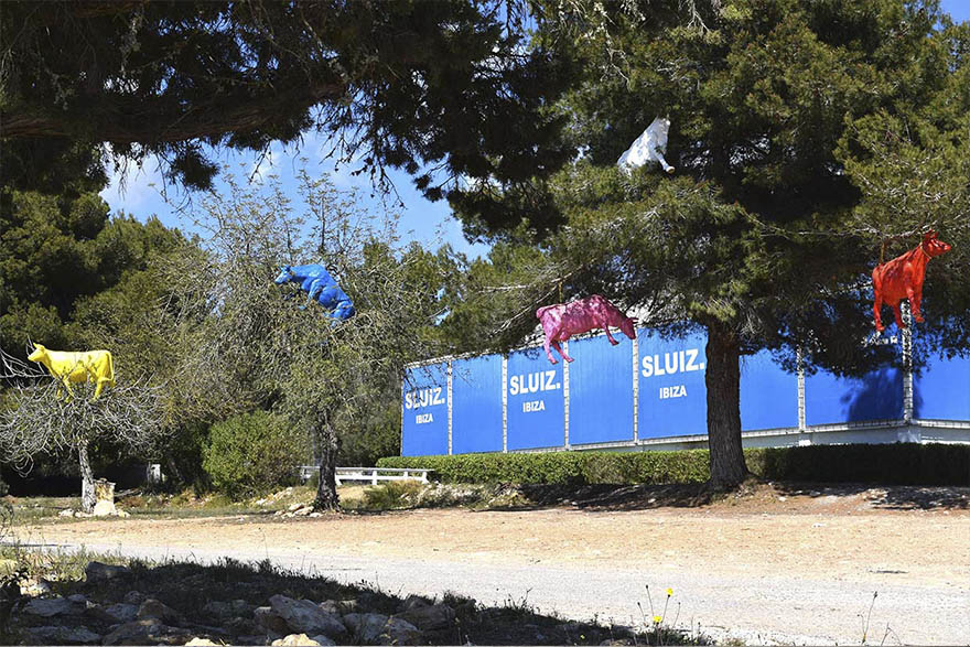 Sluiz Store ibiza